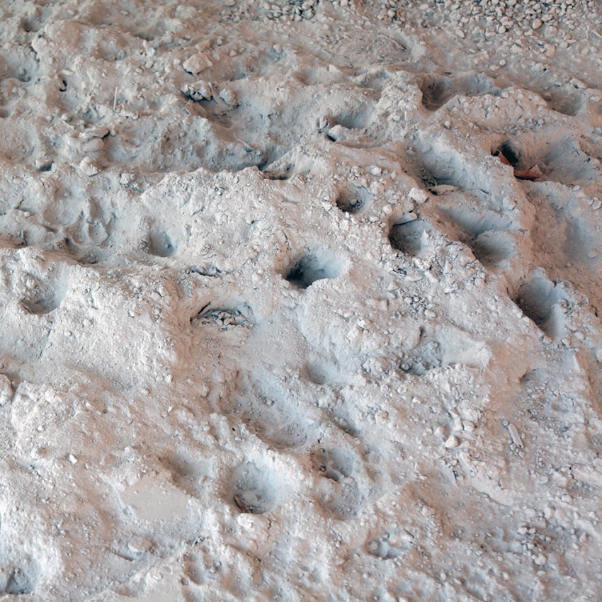 Politics of Space: Where I End And You Begin