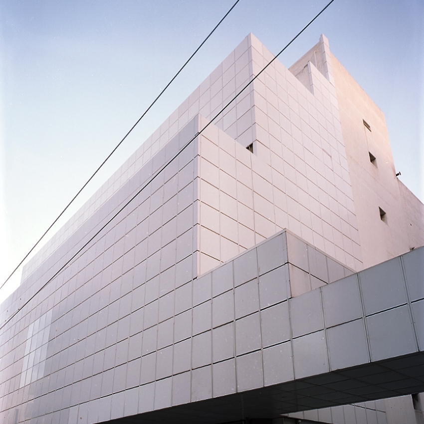 Golden Years - Surprise Pink