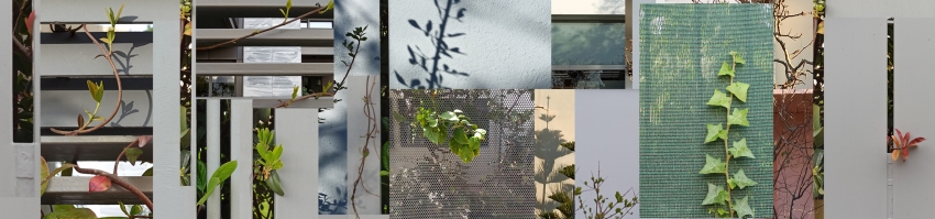 DIMITRA ΜΑΛΤΑΜΠΕ