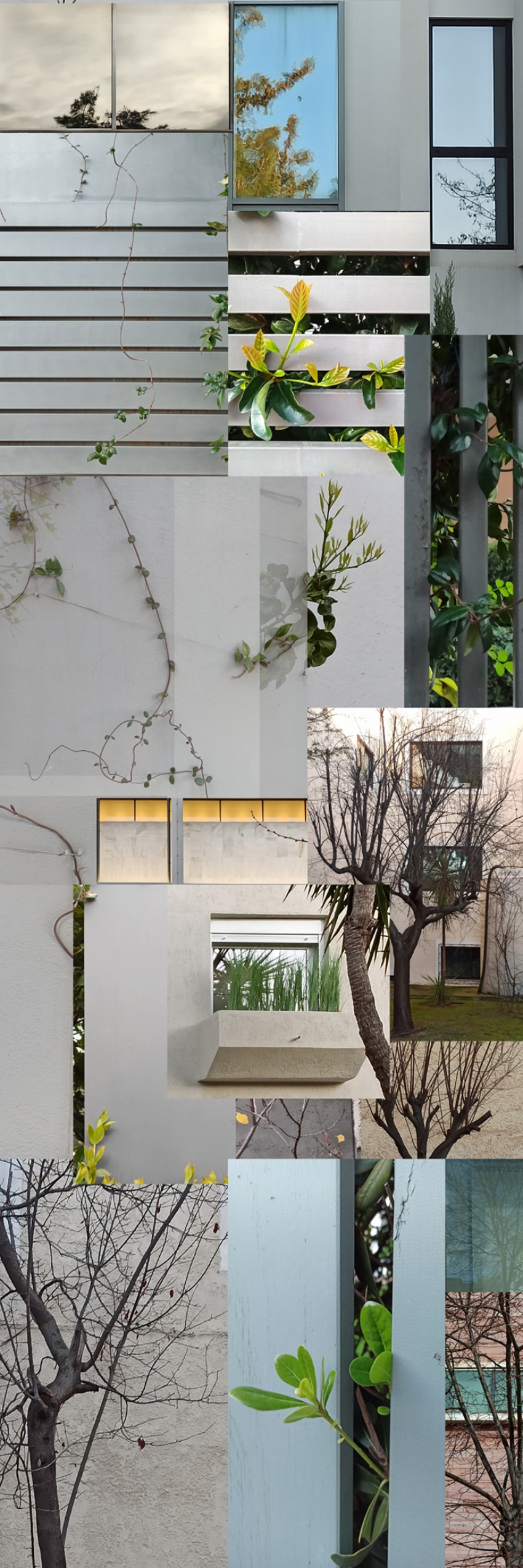 DIMITRA ΜΑΛΤΑΜΠΕ