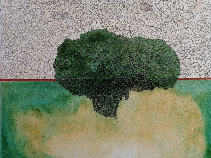 Κάμιρος, Ένα πλοίο με πορτοκαλιά φουγάρα