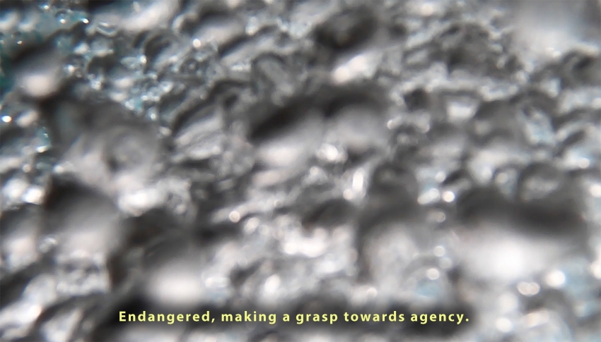 The New Together Vol. II - Empirical Reality