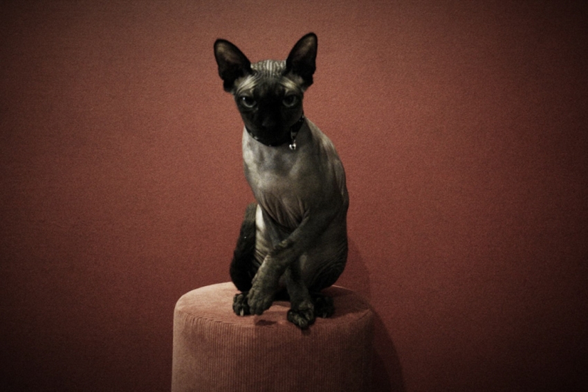 Meridian Syndrome- First symptoms