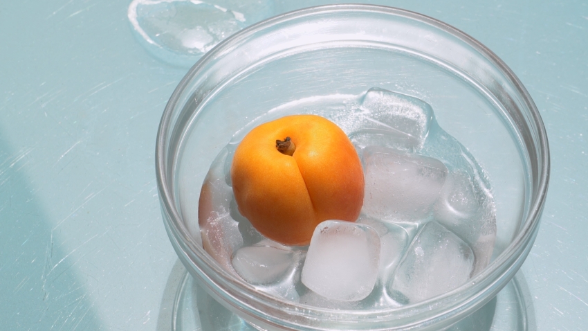 The New Together Vol. III