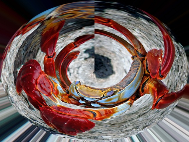 STEP 13 | Tropicana Beach Hotel