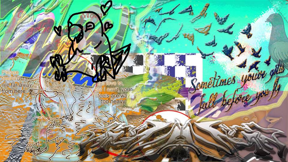 Can a pigeon and a conure live together?