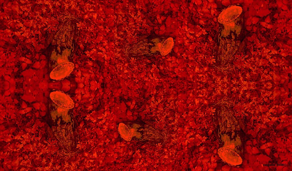 Artificial Human Vanitas