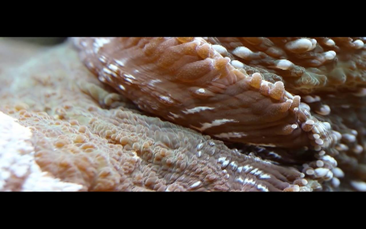 Επανεφευρίσκοντας τον τροχό