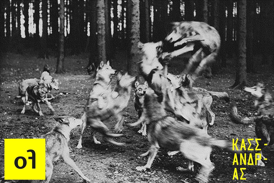 Μετάλλαξη | open form #2