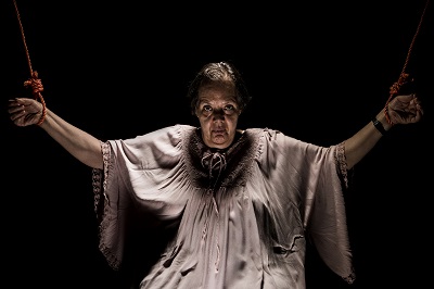 Ιδιόλεκτων Παραστάσεις