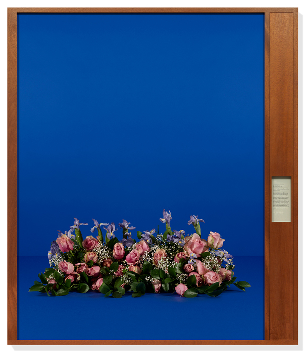 Paperwork and the Will of Capital