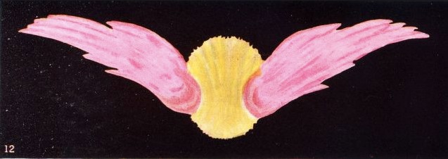 Caring For A Caged Moon