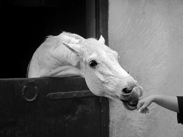 20 Photographers, 20 Perspectives…