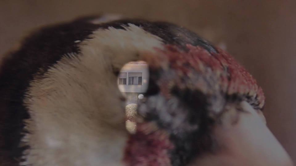 On identity politics