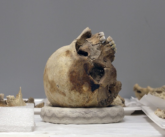 Onassis Fast Forward Festival 5 | Athens: The Primary Fact