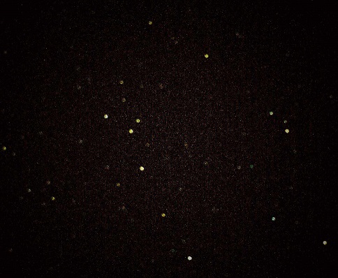 Young Greek Photographers // APHF18