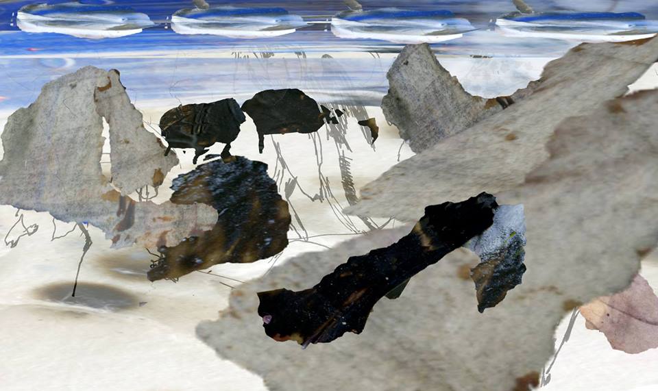 A Manifesto of Ecology