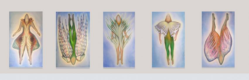 Thinking Like Another Earthy Life Form