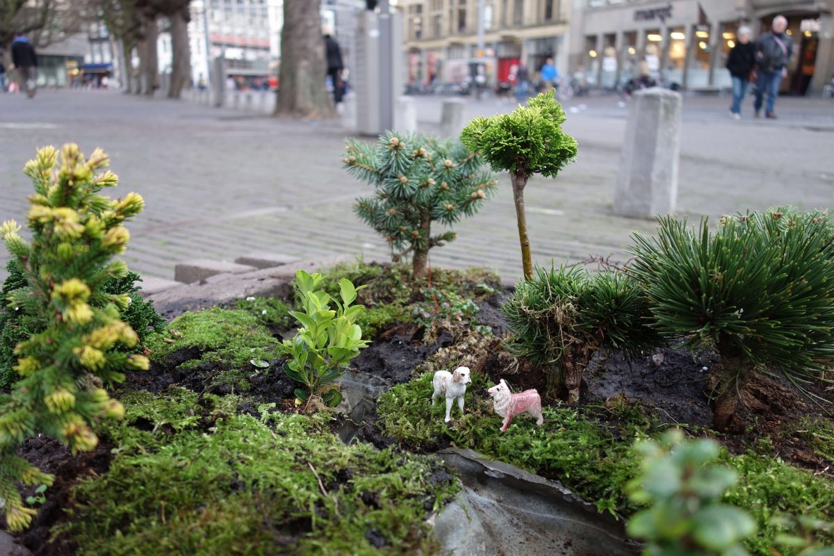 Microclimatic Heat Shelter