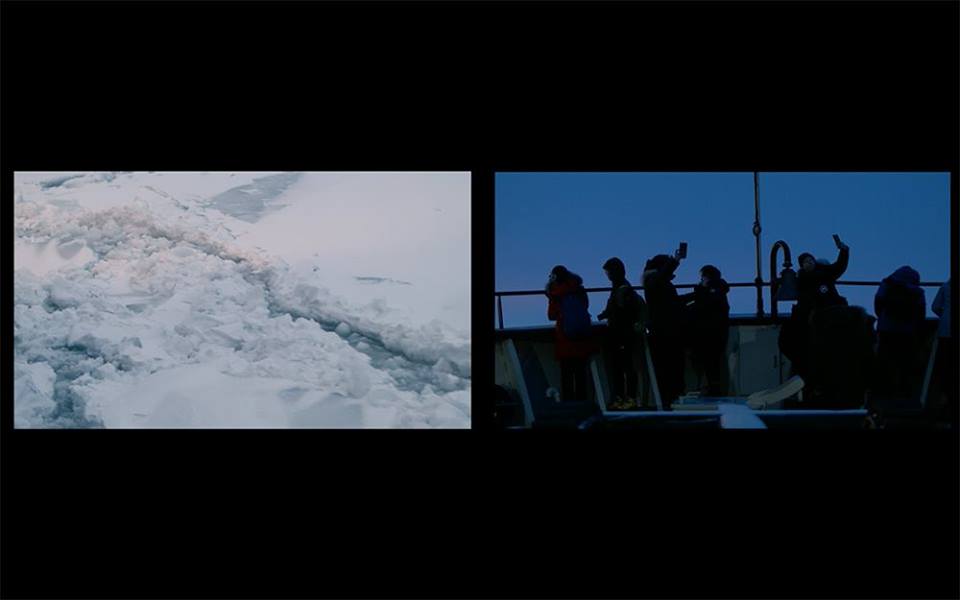 The Planet We Share: (Video) Art towards a Habitable Future