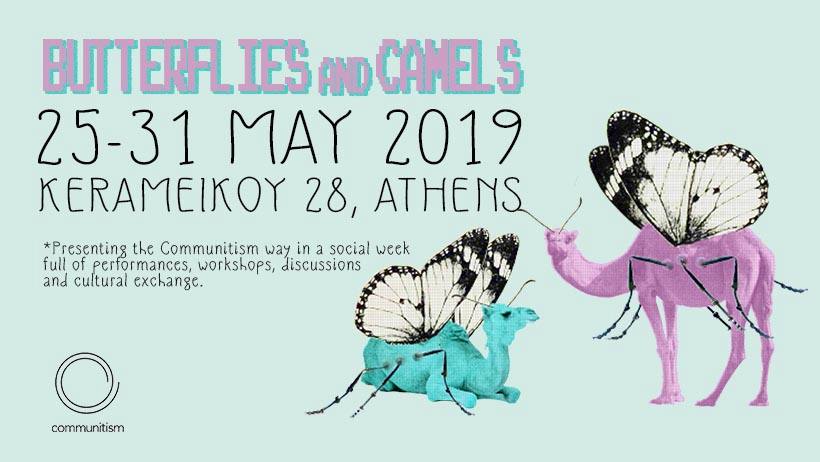 Butterflies & Camels | TheSocialWeek