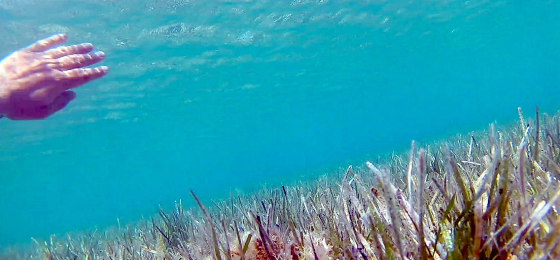 Στο Ίδιο Ποτάμι Δυό Φορές