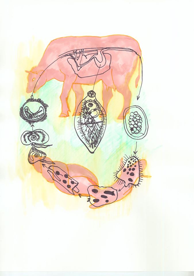 Some Colonies Are Less Important Than Others