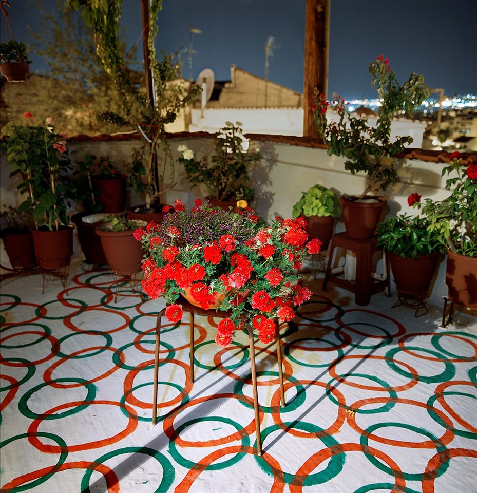 Urban Secret Garden - A Reading