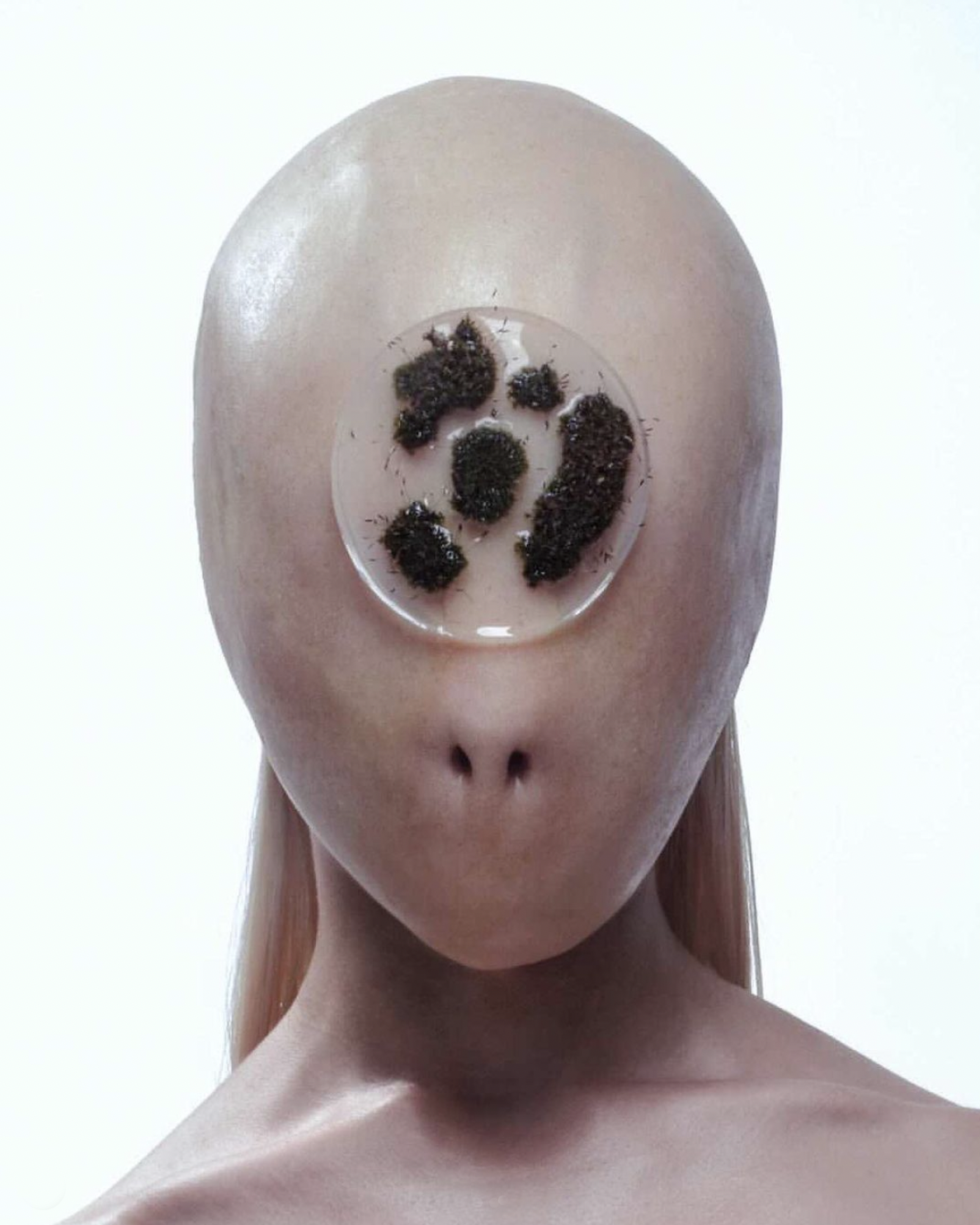 Anthr0 Series 2019 - 2022