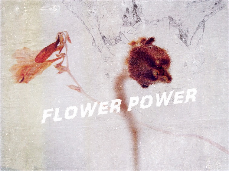 Flower Power