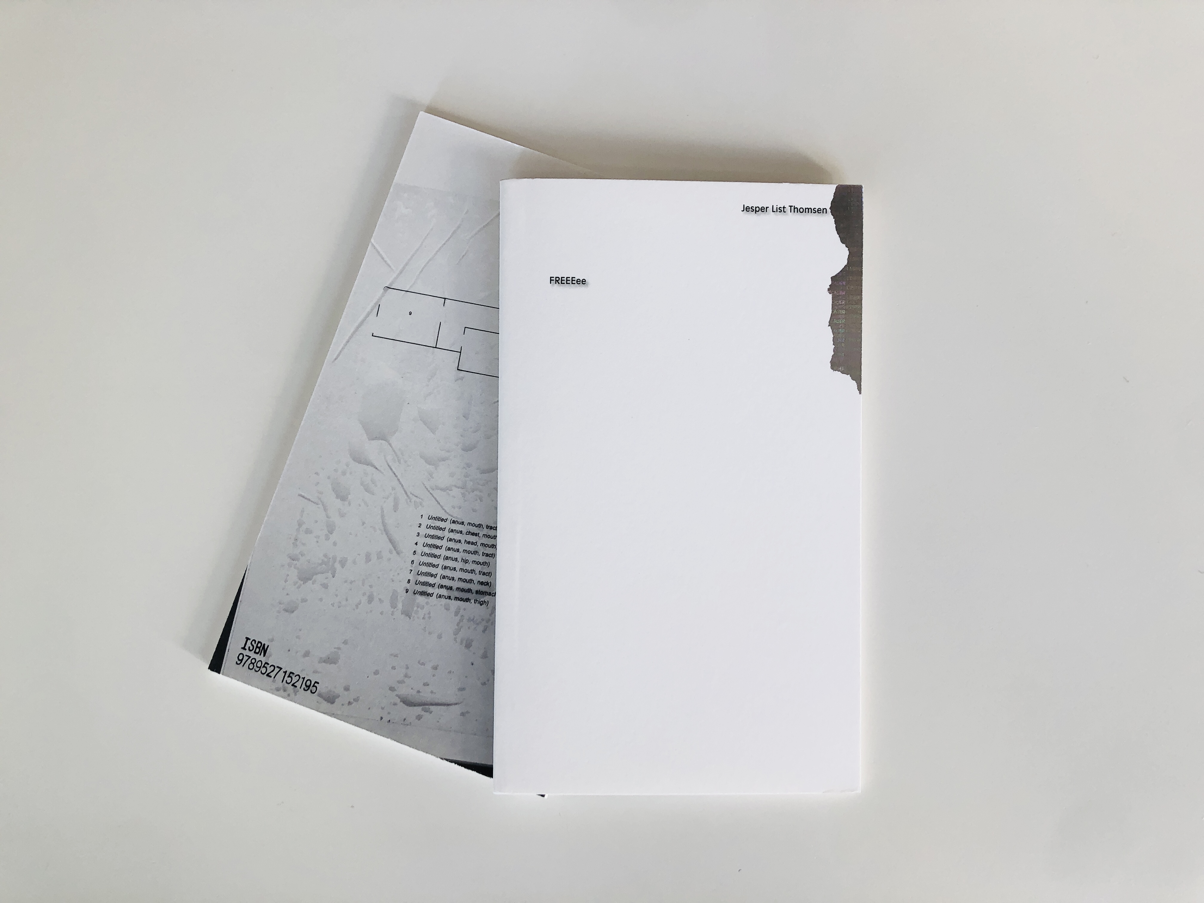 Book launch and reading of FREEEee