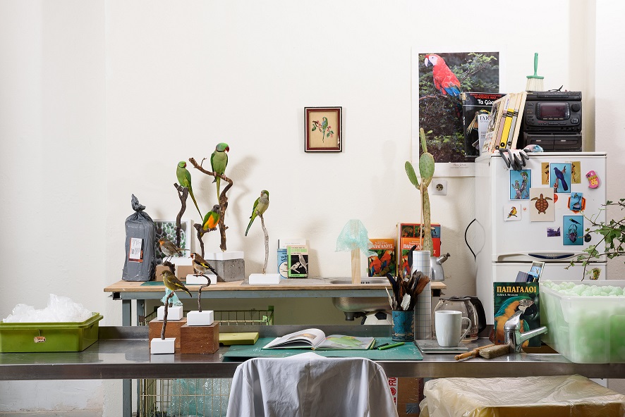 A flock of fakes: ορισμοί του μη φυσικού