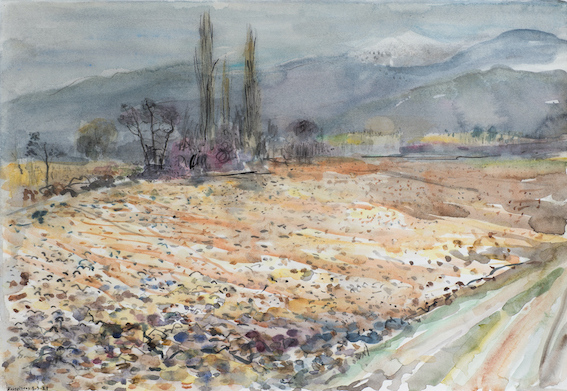 Πίσω στα Χωράφια