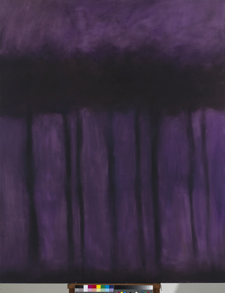 Can’t See the Trees for the Forest