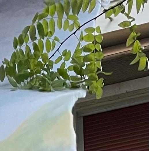 -let's get physical-