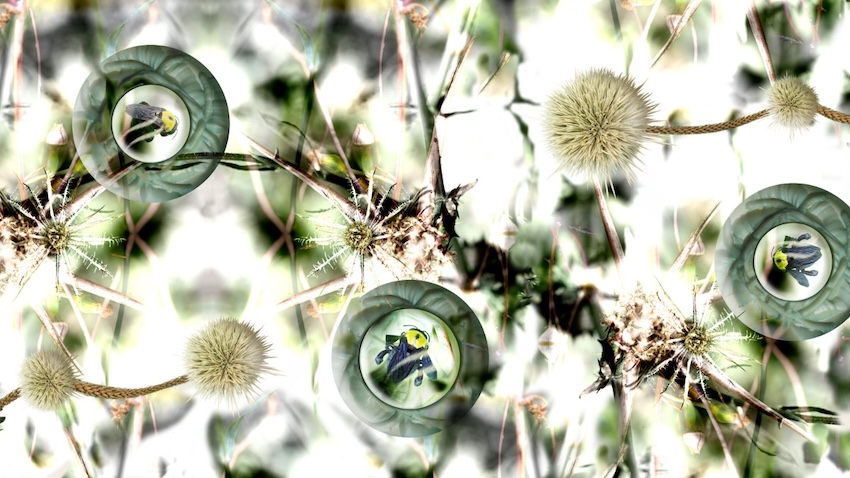 The Art of doing nothing and the parallel hike