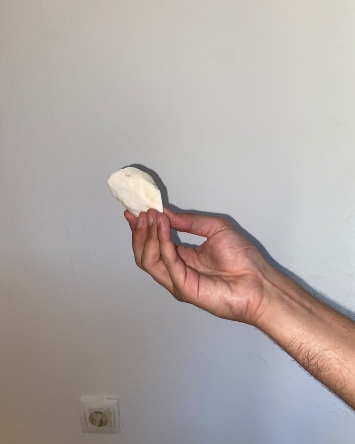 Peanut Pepper X Jean-Damien Charmoille, Gyozas Genesis Vaticanus