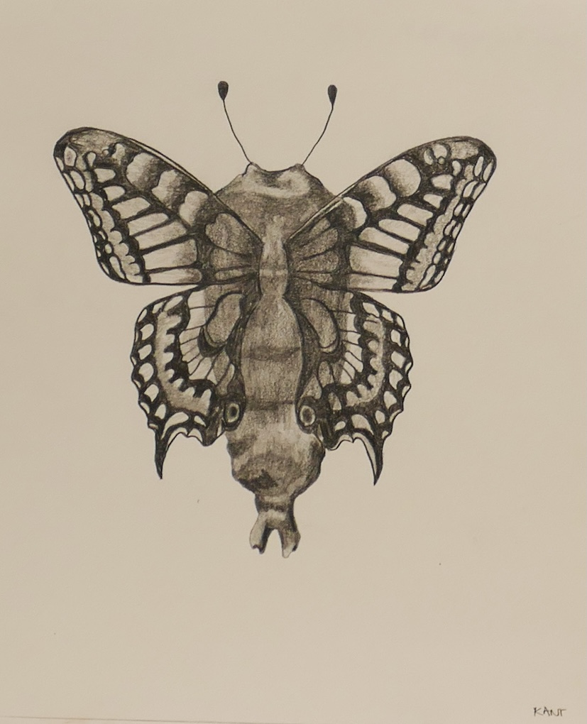 Ασκήσεις Αντίληψης