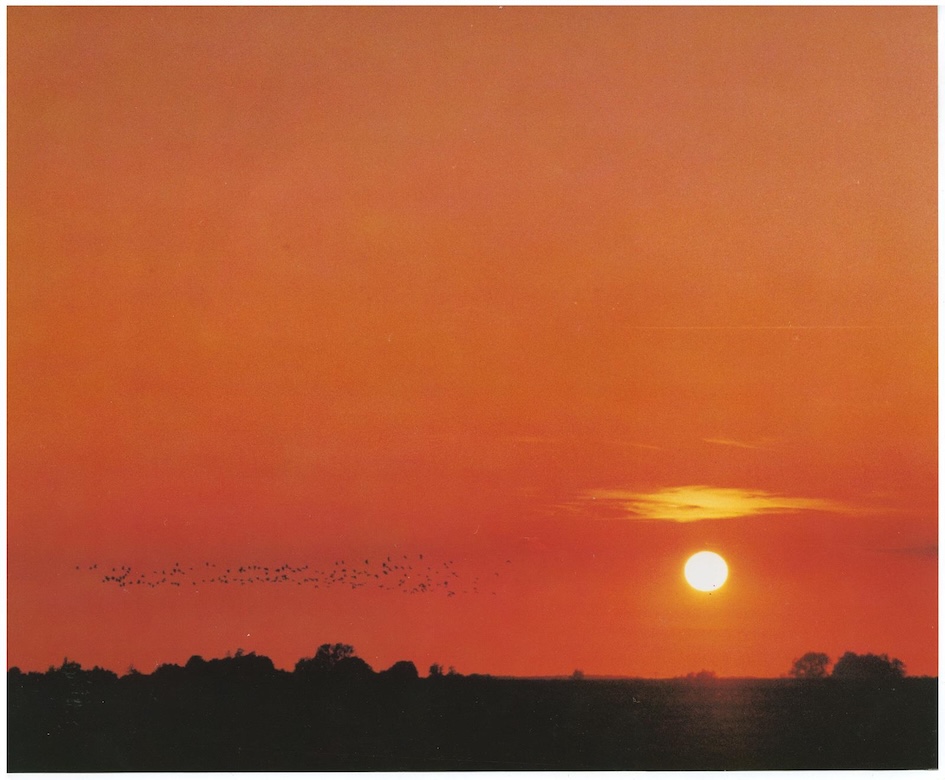 Haris Epaminonda VOL. XXXIII