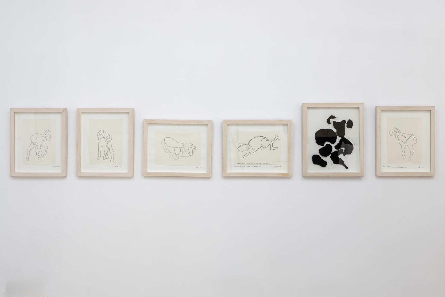 Astrakhan transmigration