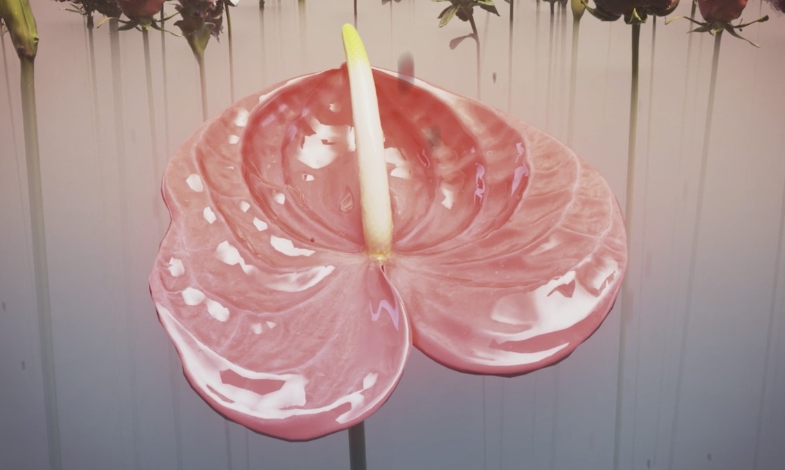 Like wildflowers in the cracks | Part B