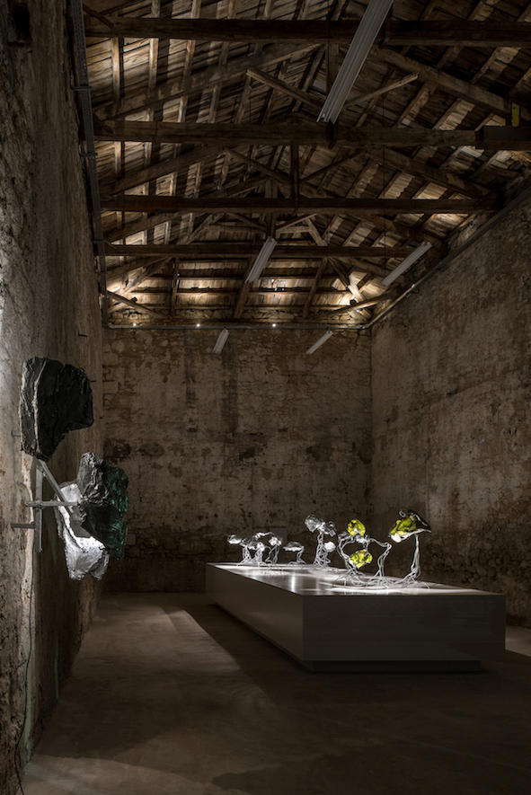 Encoded Symbols: Protoplasting Nature