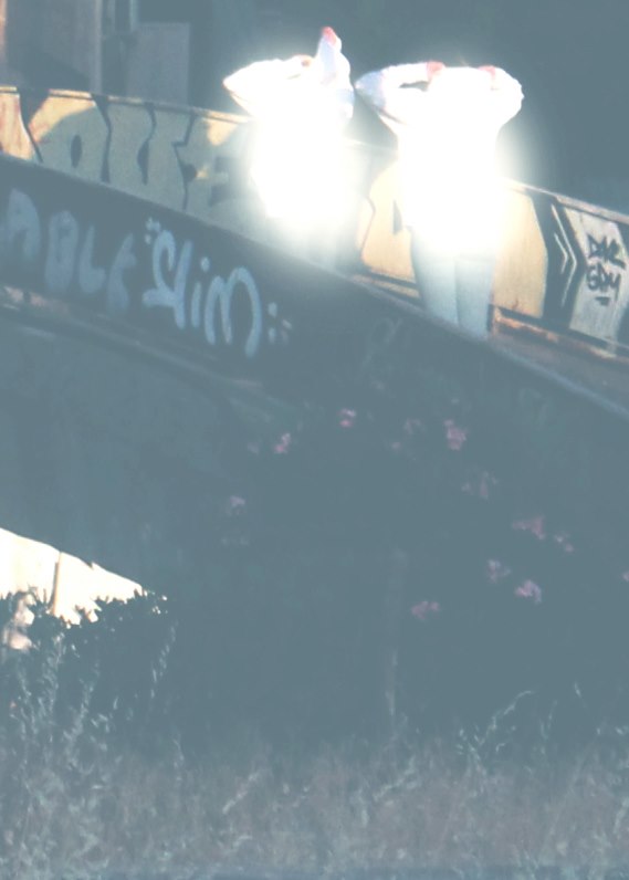 At the absence of a lake: a way of becoming