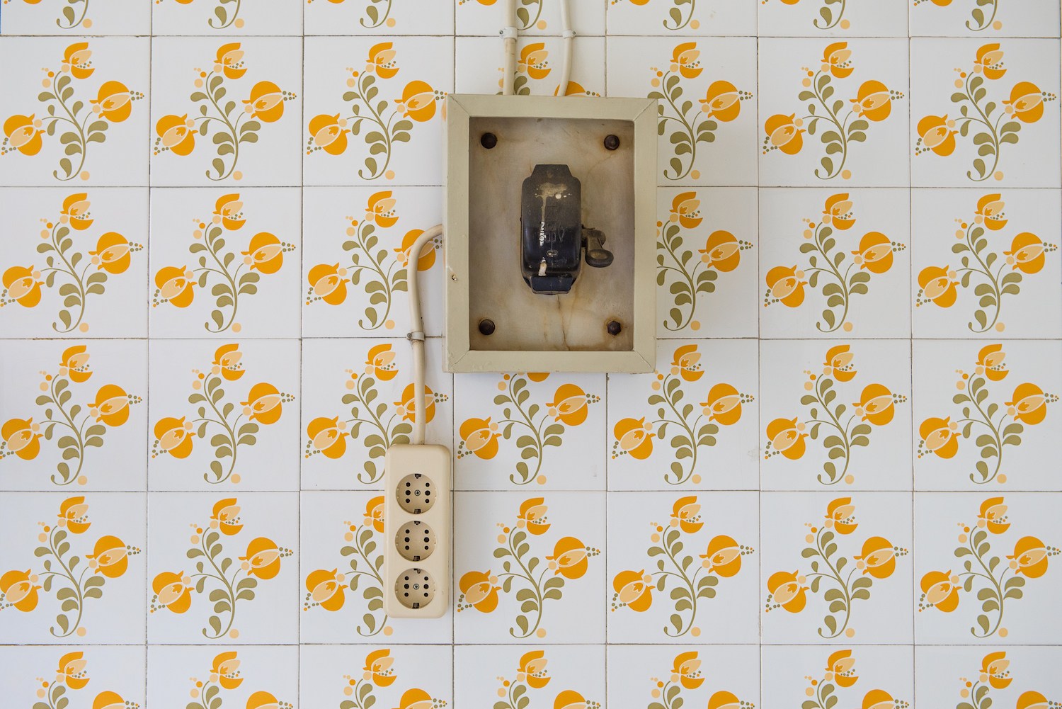 N.P. or the Possibilities of a Life