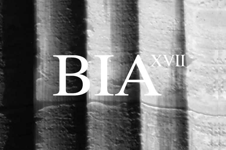 VIΛ XVII - ⑤ Back to Athens 2017