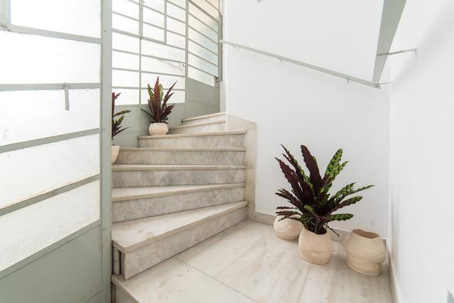 Last Week of the Exhibition N.P. or the possibilities of a life