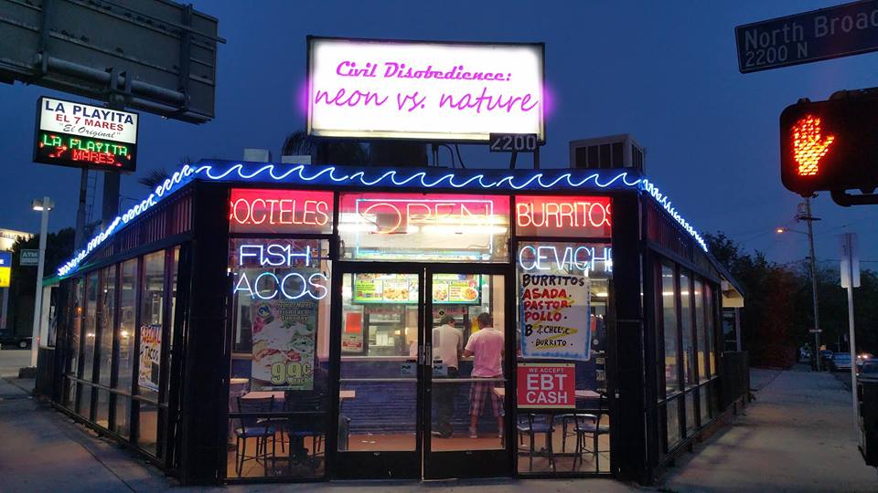 Civil Disobedience: Neon vs. Nature